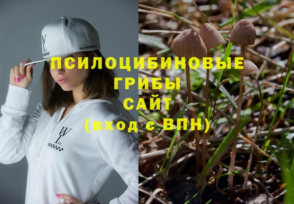 MDMA Инсар