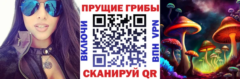 Галлюциногенные грибы MAGIC MUSHROOMS  Купить где  Таруса 